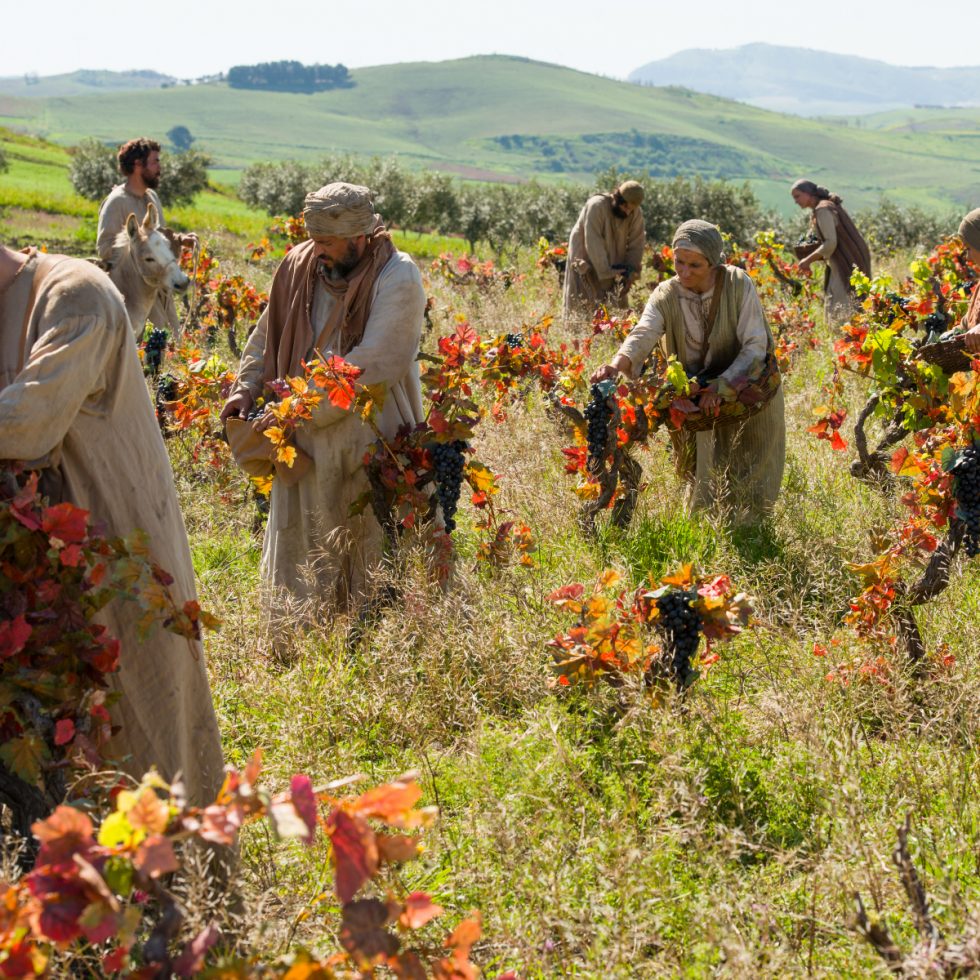 Laborers in the vineyard, New Testament parable